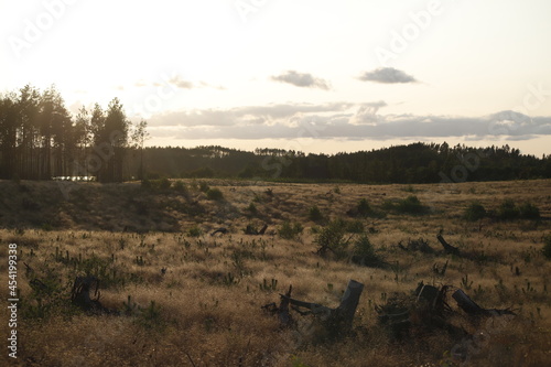 Krajobraz kaszubski kilka lat po trąbach powietrznych: Lipusz