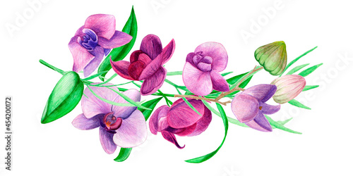  An orchid wreath of hand-painted lavender leaves and orchid flowers.Orchid floral botanical flowers. Watercolor background illustration set. Frame border ornament square clipart.banner  retro  paper.