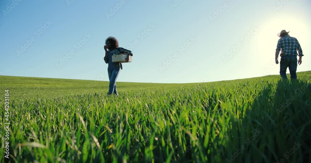Farmer young engineers examining plants and controlling water system in the field while walking through it. Organic farm business concept Farmer young engineers examining plants and controlling water system in the field while walking through it. Organic farm business concept