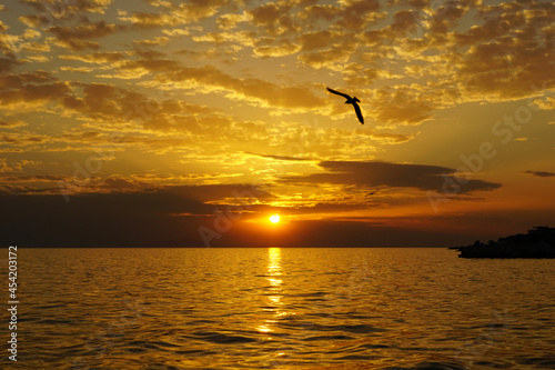 Dramatic dusk sunset with silhouette of the black bird on the sky