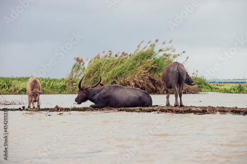 thale noi bird watching park