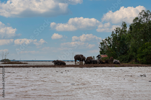 thale noi bird watching park