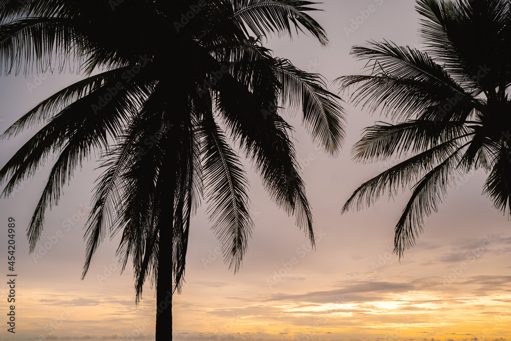 Beautiful Palm trees sunny or sunset on summer.Coconut palm trees on dramatic clouds sky.