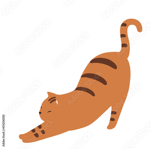 伸びをする猫のイラスト-トラ猫