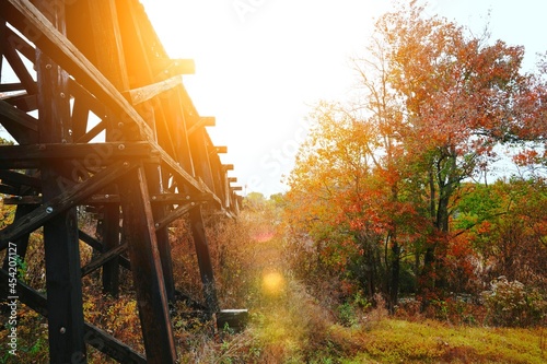Sunset over railroad bridge in forest