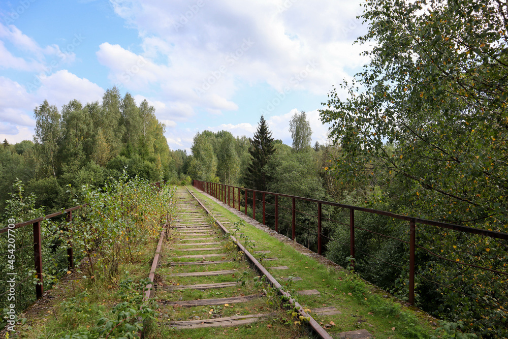 Fototapeta premium rusty rails of abandoned railway on the old bridge surrounded by forest