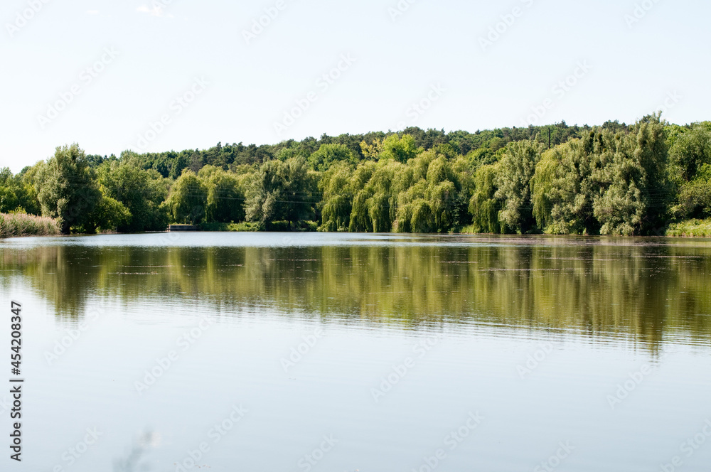 lake and forest