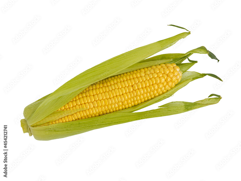 corn cob with green leaves isolated on white background corn cob with green leaves isolated on white background
