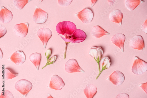 Pink background with rose petals