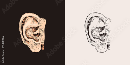 Hand Drawn Ear Sketch Symbol. Vector Listen Element In Trendy Style.