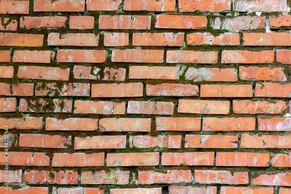 old red brick wall covered with green moss in places background old red brick wall covered with green moss in places background