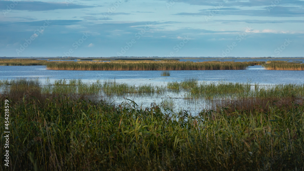 Lubana wetland in autumn, nature reserve, Latvia