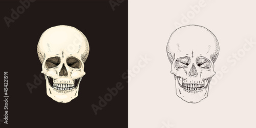 Human skull. Retro old school sketch for tattoo in vintage style. Monochrome Symbol. Hand drawn engraved retro badge for t-shirt, banner, poster and logo