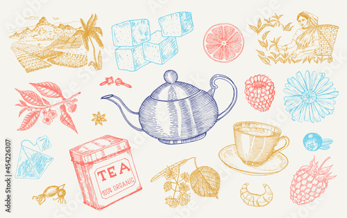 Herbal Tea bag brewing cooking directions. Teapot, cup, sugar, plants, landscape, raspberries, croissant, lemon, chamomile. The woman is harvesting. Ingredients for shop frame. Engraved style.