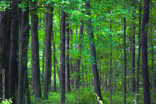 Grove at Barkhamsted, CT (1/2)