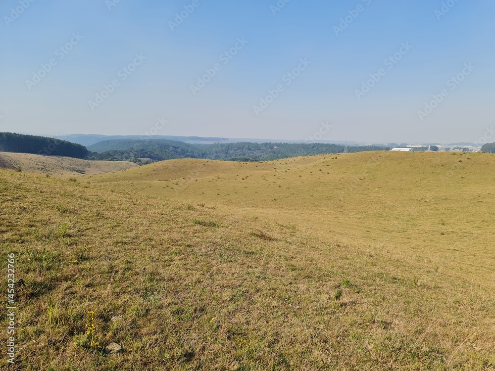 campo para pecuária, potreiro