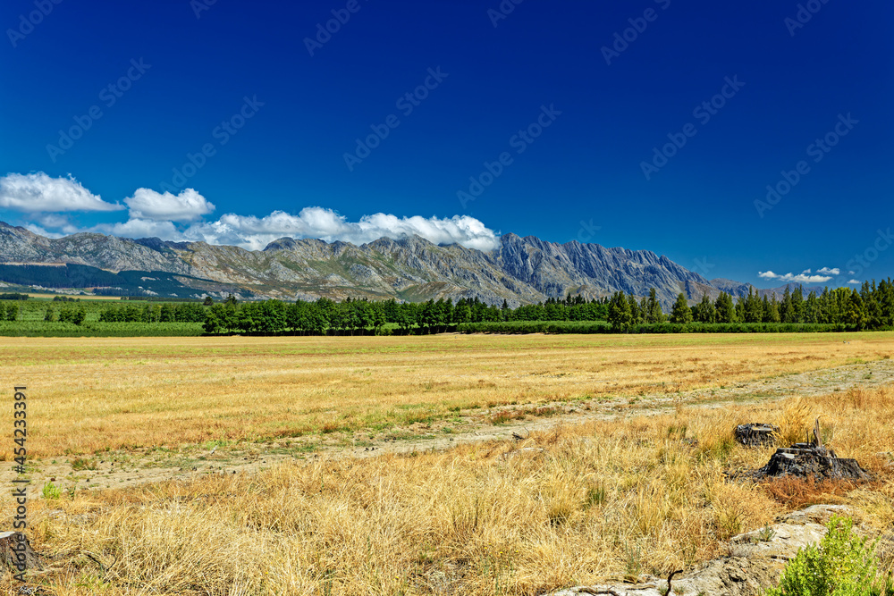 Obraz premium Field and orchards in Witzenberg Valley