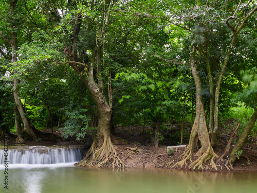 Waterfall in the forest at Muaklek  Saraburi  THAILAND.