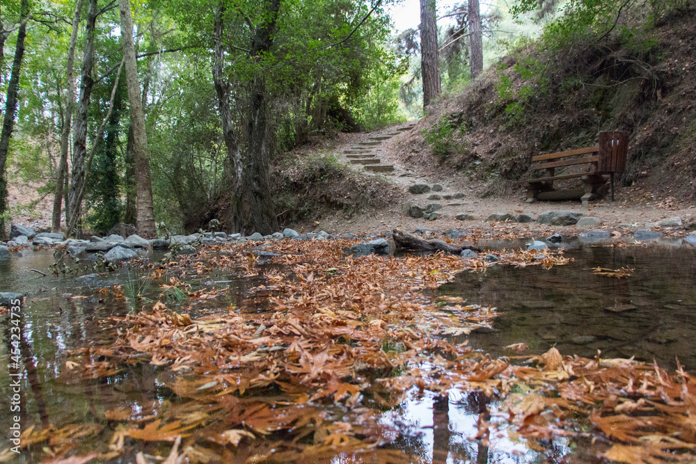 Nature trail to Millomeris waterfall, Pano Platres, Cyprus. Nature trail to Millomeris waterfall, Pano Platres, Cyprus.