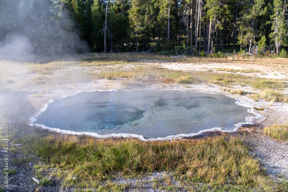 Shield Spring geyser hot spring in Yellowstone National Park Shield Spring geyser hot spring in Yellowstone National Park