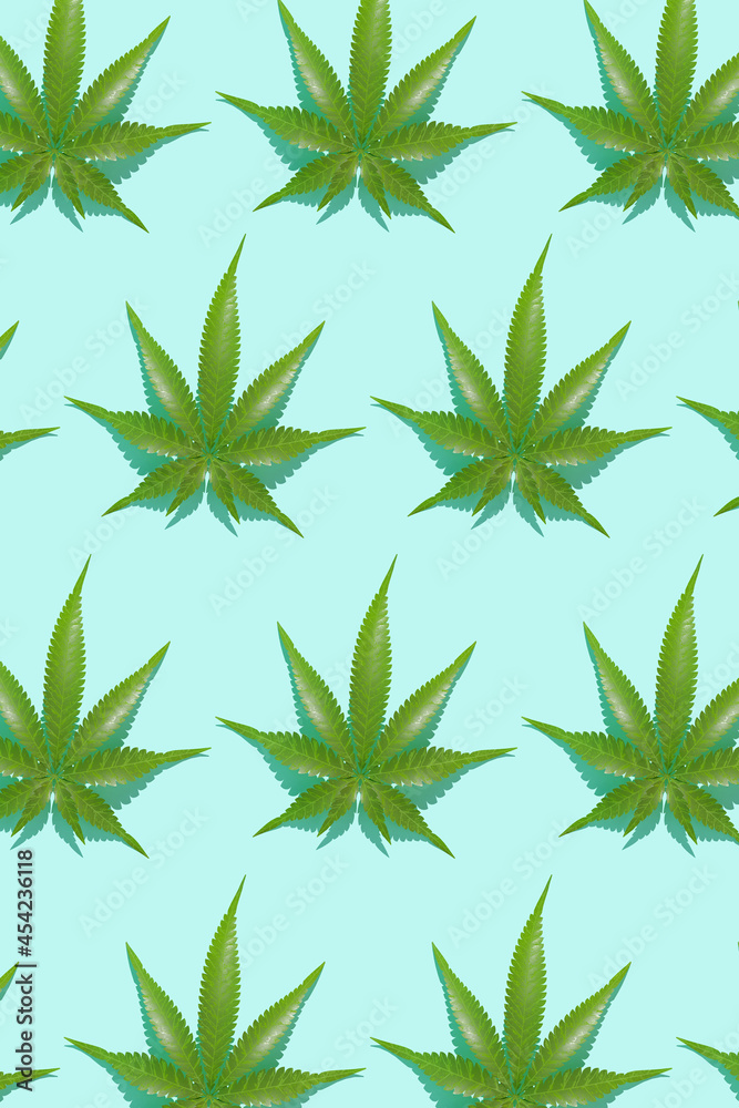 Green hemp leaves pattern on blue background. 3d render texture. 