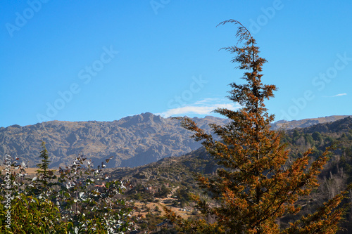 Mountain Beautiful