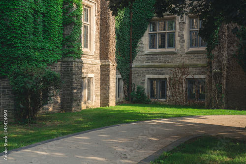 Beautiful view of a old building with vines in the summer