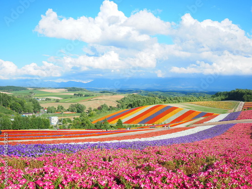 北海道の絶景 美しい秋の美瑛 四季彩の丘の風景