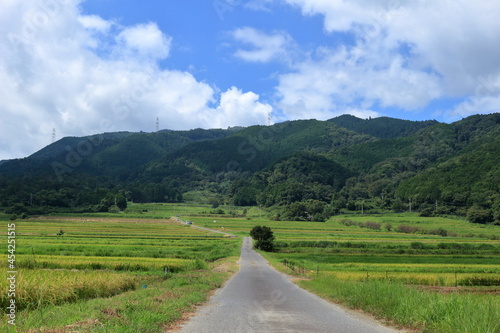 伊香立の棚田の風景