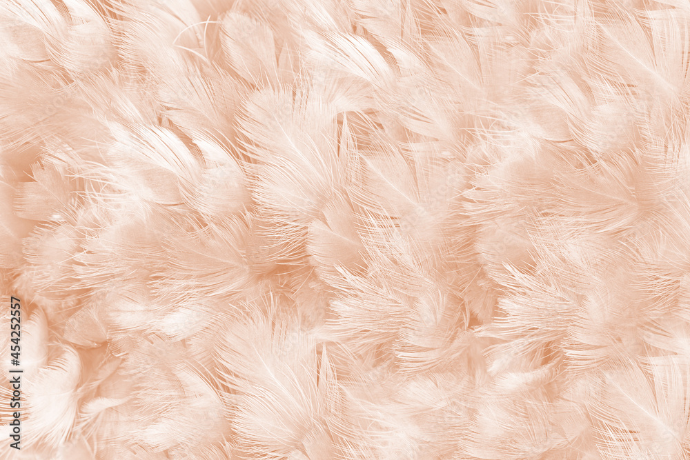 brown feather texture pattern for background brown feather texture pattern for background