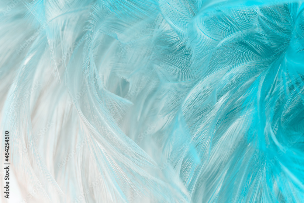 Obraz premium blue feather texture pattern background with lighting