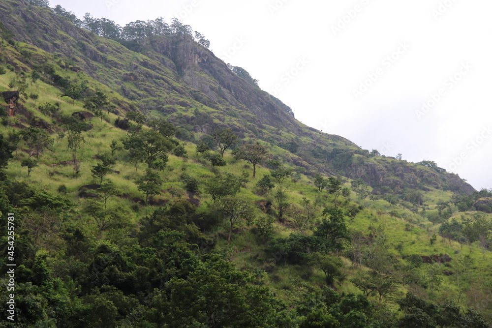 Naklejka premium Landscape of variable climate