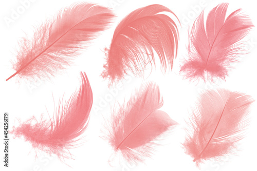 Fototapeta Naklejka Na Ścianę i Meble -  Beautiful collection light pink feather isolated on white background