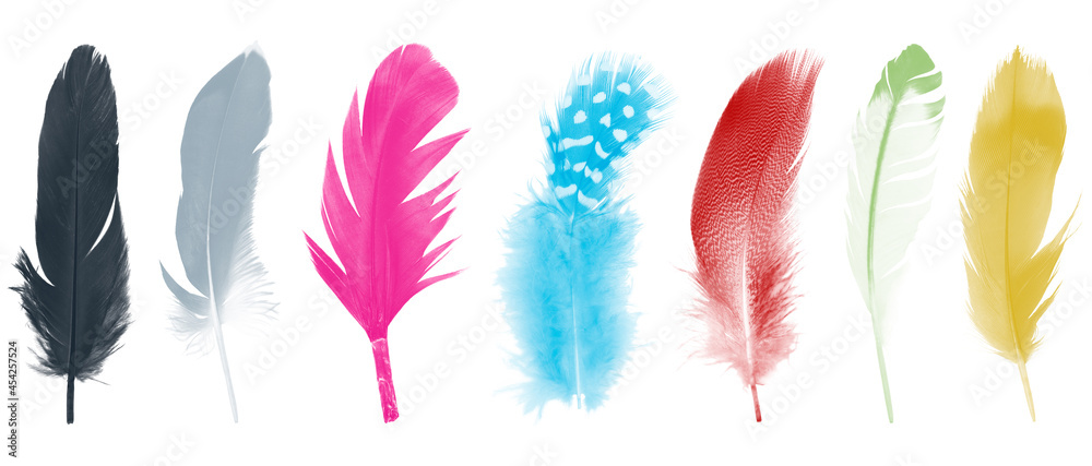 Colorful collection feathers isolated on white background Colorful collection feathers isolated on white background