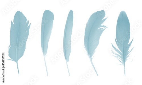 Beautiful collection green , baby blue feather isolated on white background