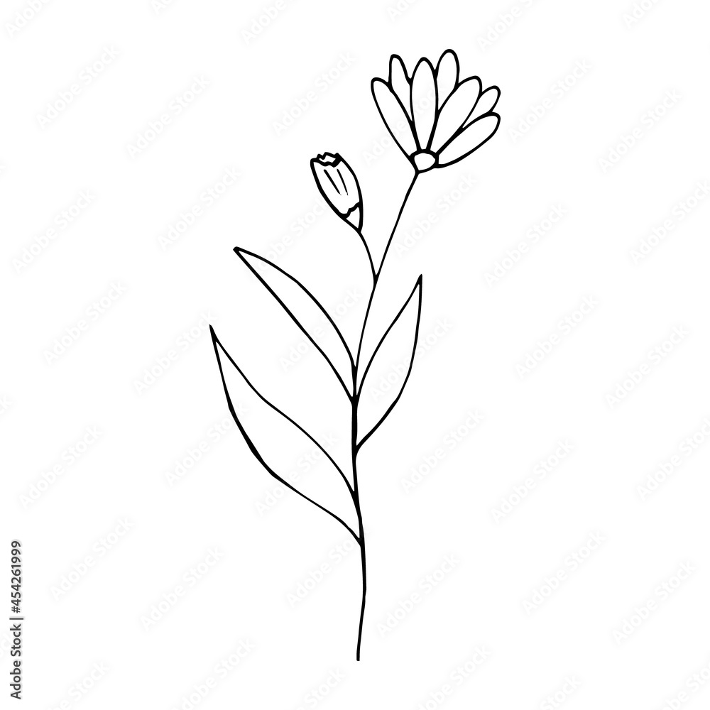 abstract flower icon. hand drawn doodle. vector, scandinavian, nordic, minimalism, monochrome. plant, herbarium. abstract flower icon. hand drawn doodle. vector, scandinavian, nordic, minimalism, monochrome. plant, herbarium.