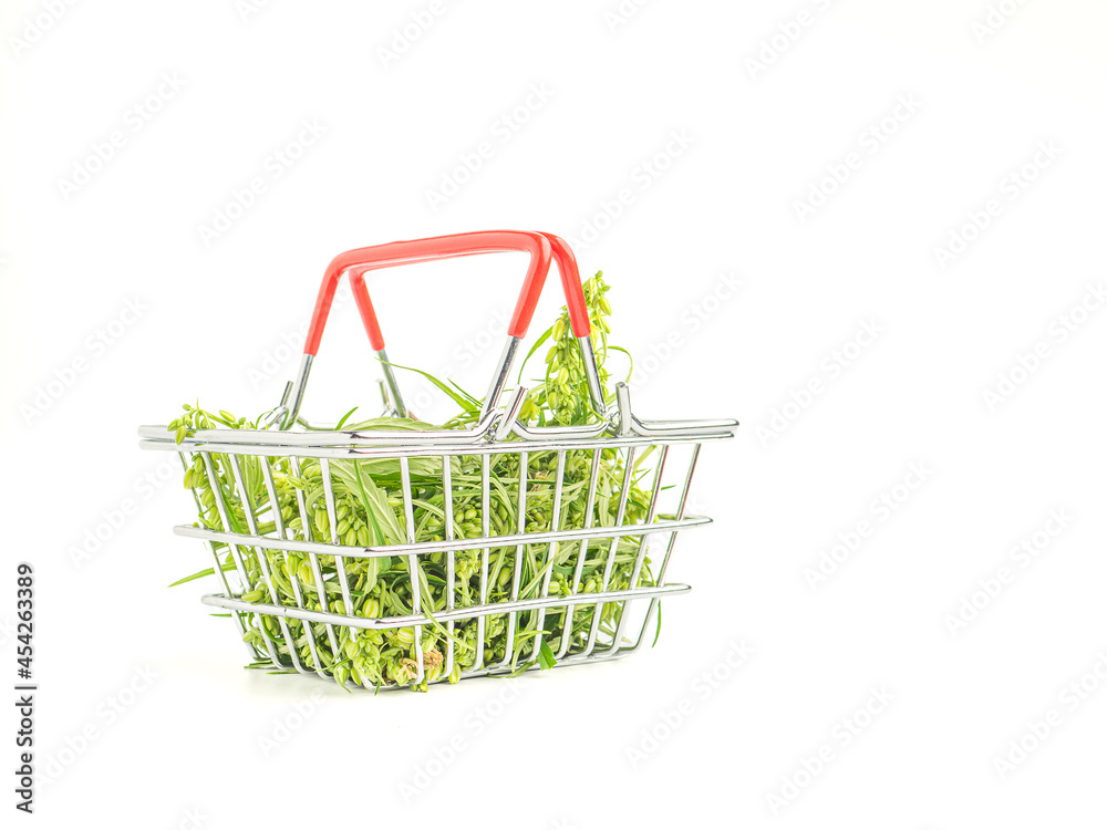 Fresh green marijuana leaves and male buds flower in a mini basket isolated on a white background. Medical cannabis plantation and business concept
