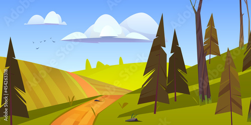 Cartoon nature landscape, rural dirt road going along green field with conifers trees. Path and spruces under blue sky with fluffy clouds and flying birds, scenery wood background, vector illustration