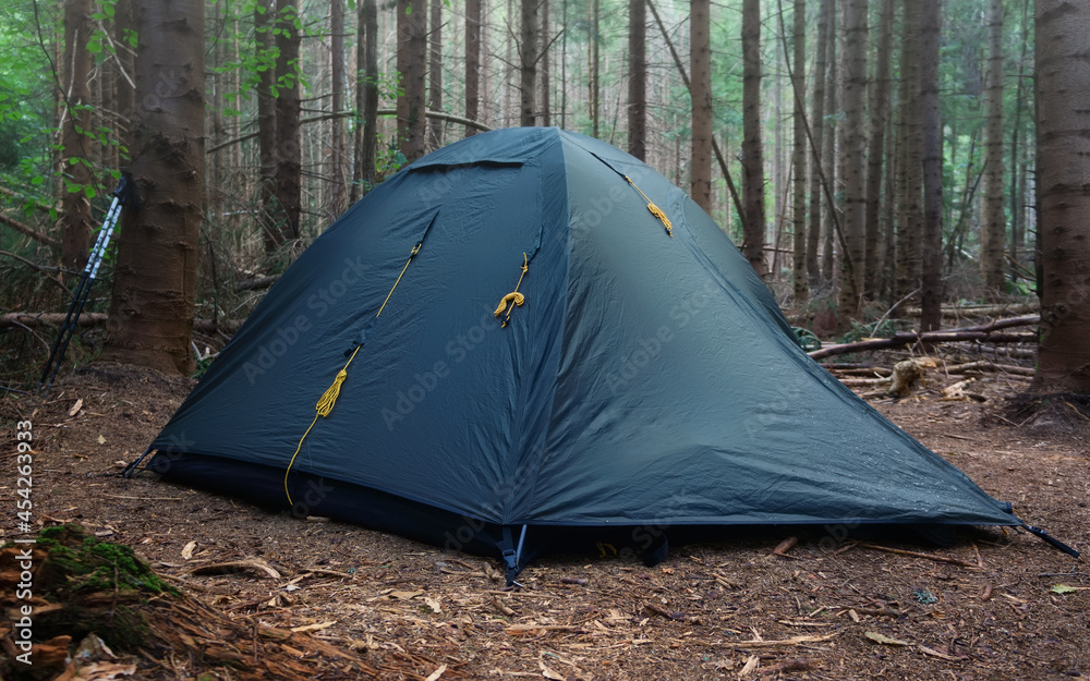Green tent in the morning coniferous forest. Shelter of tourists for the night Green tent in the morning coniferous forest. Shelter of tourists for the night
