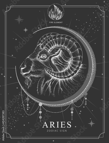 Modern magic witchcraft card with astrology Aries zodiac sign. Realistic hand drawing ram or mouflon head