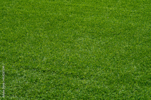 Green grass background, football field  © waranyu