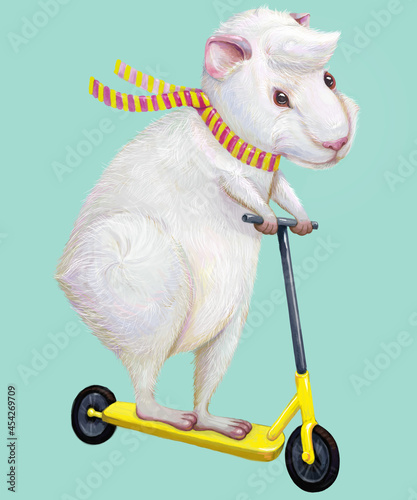 Funny guinea pig riding a scooter wearing a striped scarf. Digital illustration for children. Prints for clothes and accessories, illustration for a children's book. High resolution.