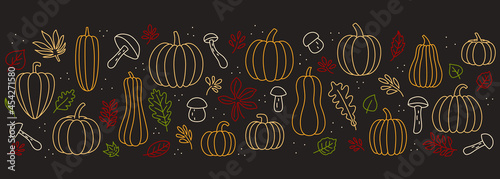 Set pumpkins mushrooms autumn leaves bright on a dark background line outline empty contour vector illustration.