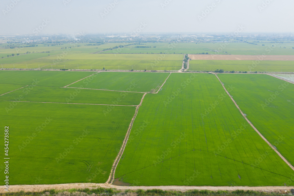 aerial view from flying drone of Field rice with landscape green pattern nature background, top view field rice
