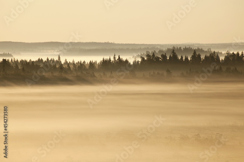 Last August morning. Lot of mist over national park of Torronsuo (in Tammela, Finland), colored by rising sun. 