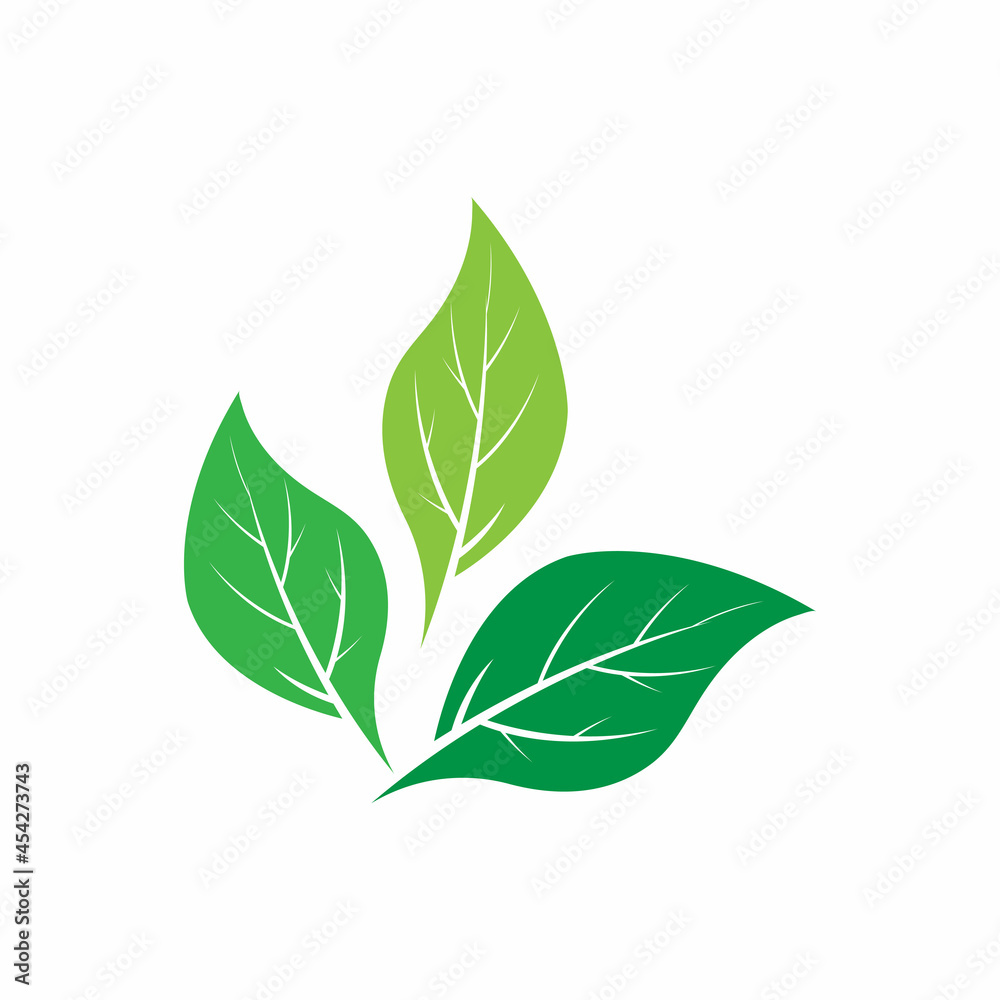 Fototapeta premium Leaf icon Vector Illustration design Logo template