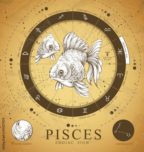 Vintage magic witchcraft card with astrology Pisces zodiac sign. Realistic hand drawing koi fish illustration. Zodiac characteristic
