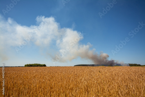 Landscape of agricultural field with much smoke at the background. Concept of fire on garbage dump that can cause fire in agricultural field of unharvested crop photo