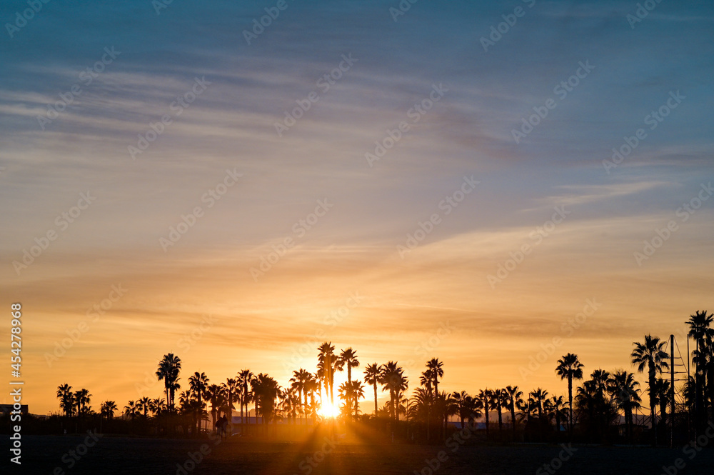 lovely sunset image with palm trees in Spain