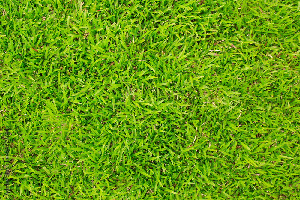 artificial green grass texture for background artificial green grass texture for background